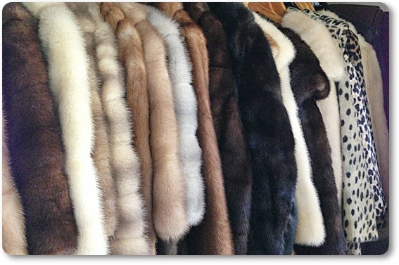 �є甃��b�k��Z�i������j�ō��z����E��������Ȃ�_���g�c�ɃR�R�I